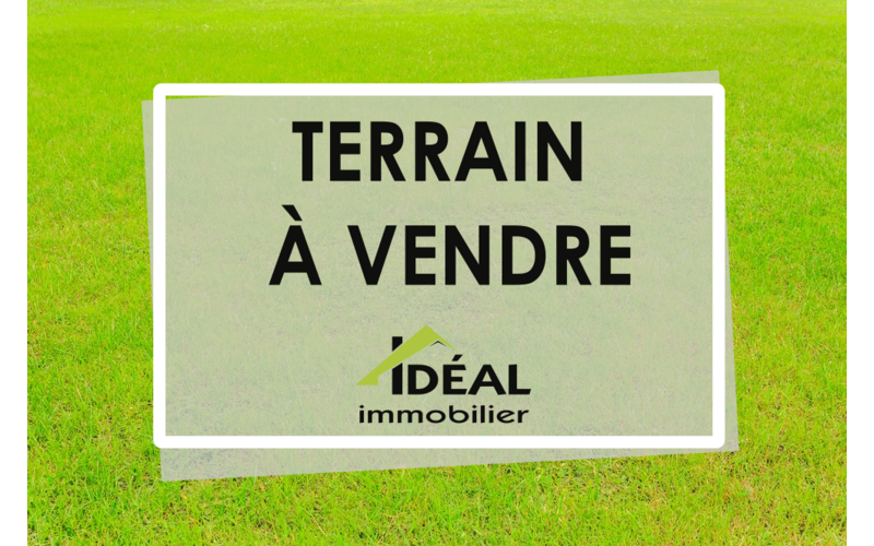 Terrain